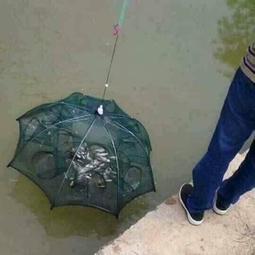 Lồng Bát Quái 8 Cửa Lồng Ô Bát Quái, Lồng Bẫy Cá Lồng Bẫy Tôm Cua Lươn Trạch