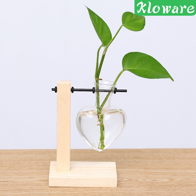 Bình trồng cây để bàn trang trí nội thất độc đáo