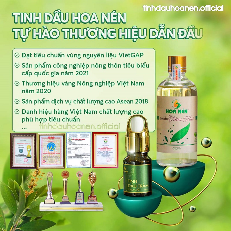 Tinh Dầu Tràm Nguyên Chất Hoa Nén - Dầu tràm nguyên chất, giữ ấm cơ thể, chiết xuất 100% từ lá tràm gió thiên nhiên