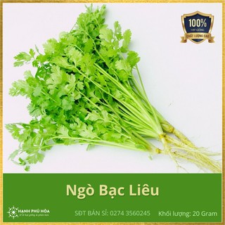Hạt Giống Ngò Bạc Liêu Nông Nghiệp Xanh 20g/Gói - Dễ Trồng, Trồng Quanh Năm, Năng Suất Cao, Thơm Ngon, Tốt Cho Sức Khoẻ