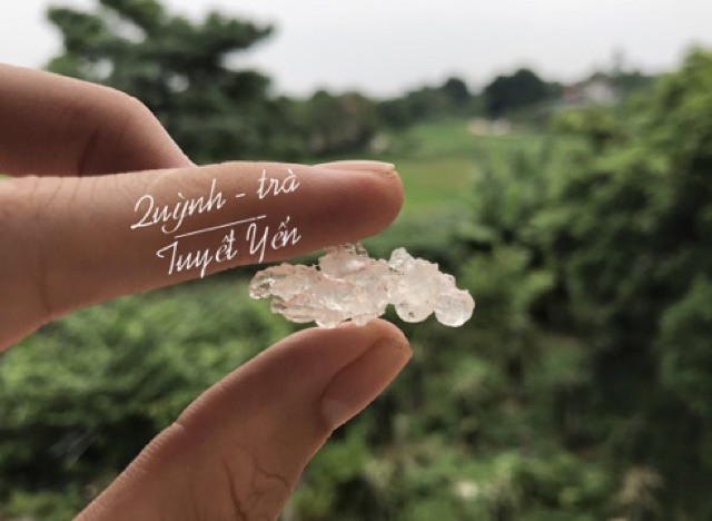 Combo Nhựa đào- Tuyết yến - kỉ tử - hồng táo | BigBuy360 - bigbuy360.vn