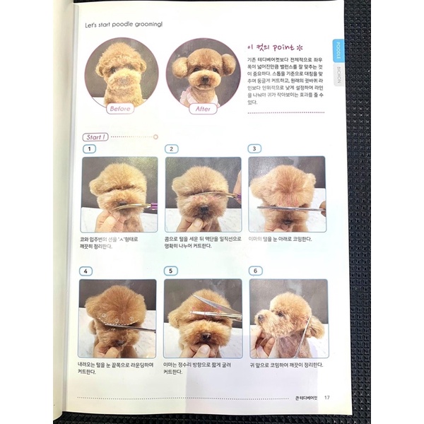 Dạy Cắt Lông Chó-Getstyle book các dòng chó.