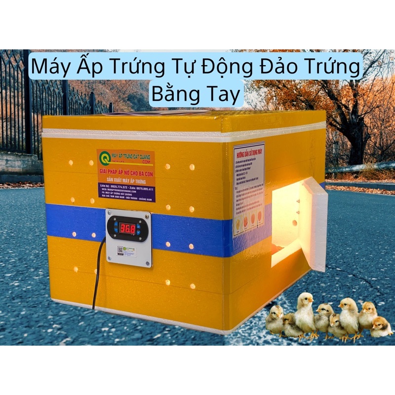 Máy Ấp Trứng MiNi Đảo tay Chuyên Ấp Các Loại Trứng Gà,Chim,Vịt,Ngỗng,Trứng Cút Ấp Được 80 Trứng về cắm điện là xài
