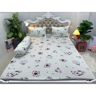 Drap thun Hàn quốc ( 7 màu)