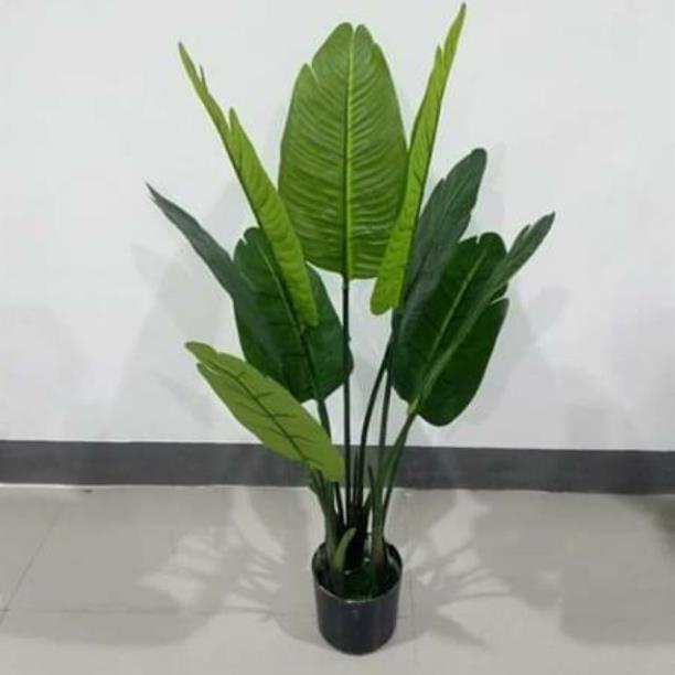 [FREESHIP] Cây chuối giả cảnh cao 1 met( kèm chậu) ( để Free ship CHAT ngay với người bán)