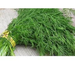 (Gói 200 hạt)Hạt giống rau thì là Kháng bệnh tốt&amp; Năng suất cao-Tổng kho hạt giống giá rẻ