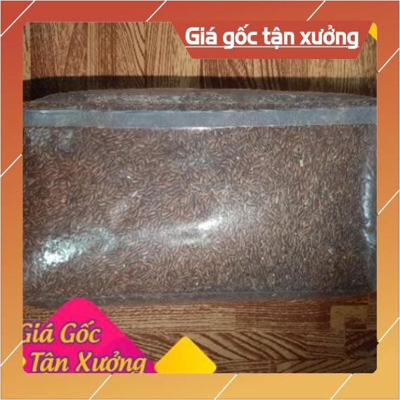 2kg gạo lứt huyết rồng, nhà tự rang [Siêu Sale]