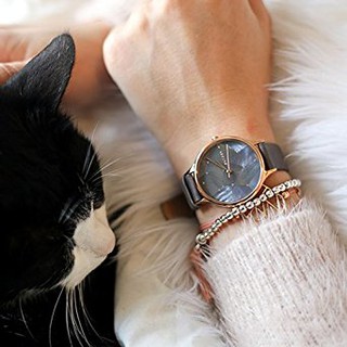 Đồng hồ nữ Skagen SKW2390