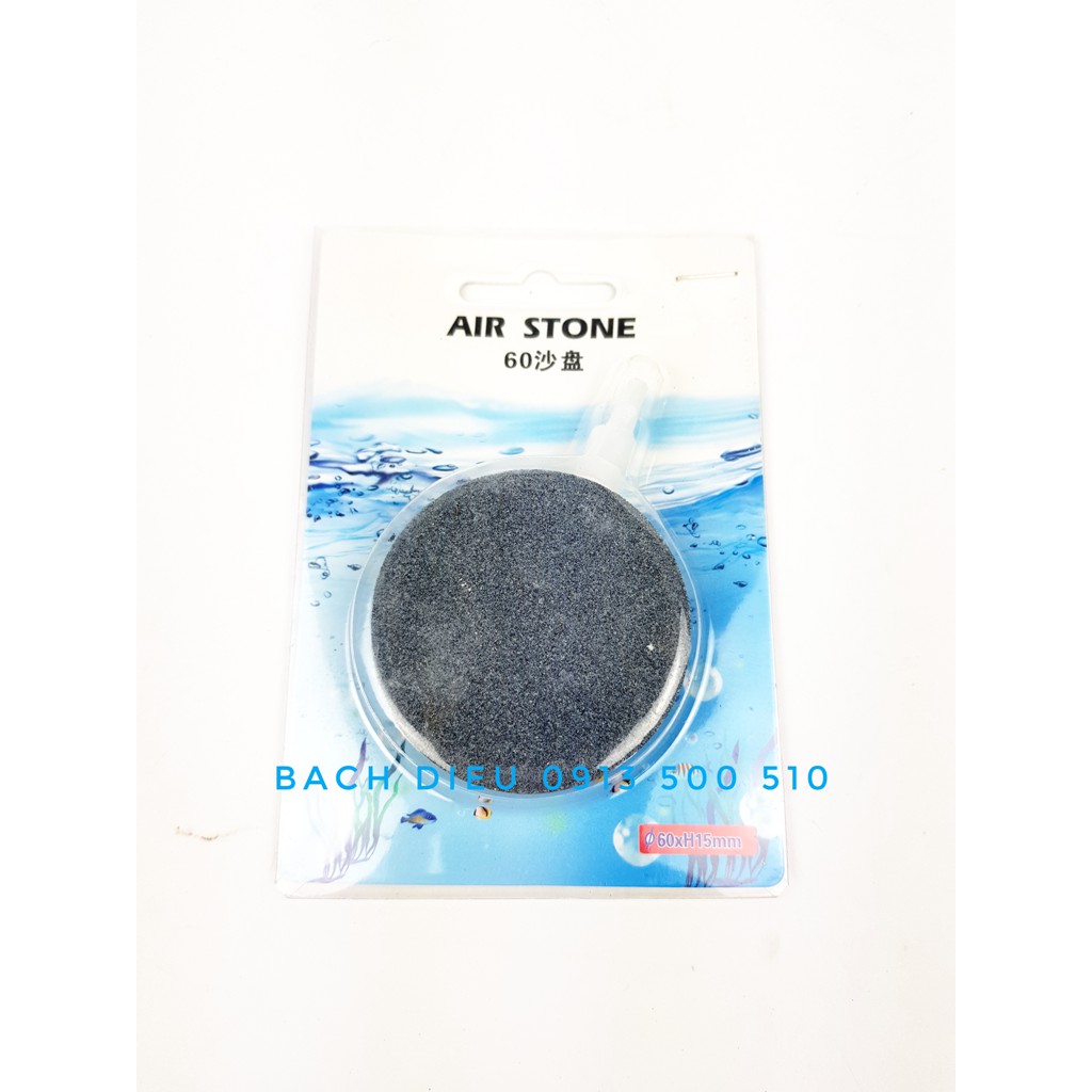 SỦI DĨA OXY 40 60 80 100MM CHO HỒ BỂ CÁ CẢNH