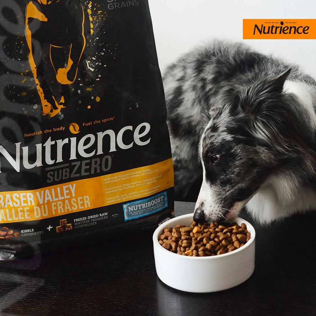 Thức Ăn Hạt Cho Chó Husky Nutrience Subzero Bao 500g - Thức Ăn Cho Chó Thịt Gà Tây, Rau Củ, Trái Cây