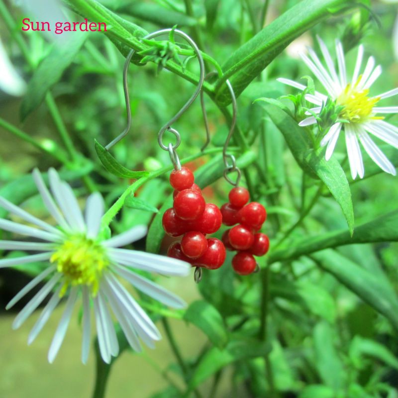 Bông tai san hô đỏ red coral sang trọng