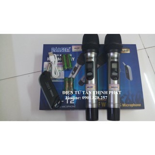 Micro không dây Ealsem ES-T2