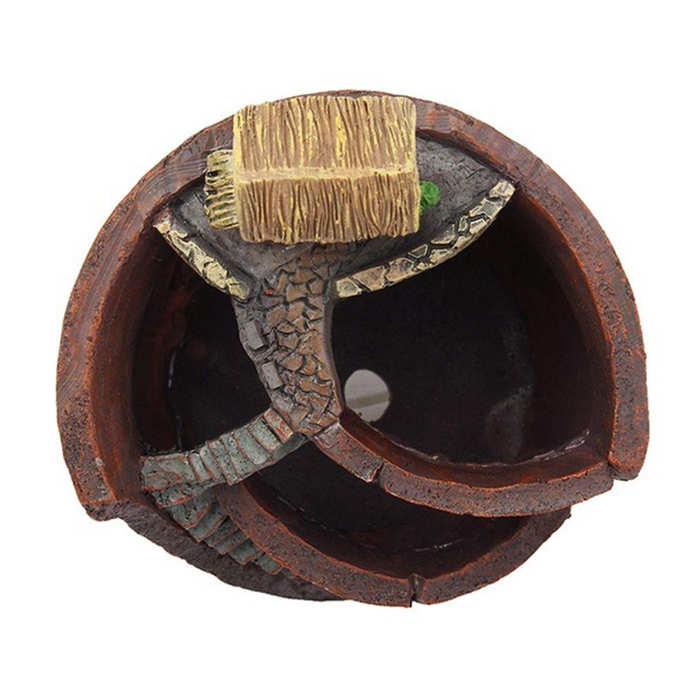 1 Chậu Cây Bonsai Trang Trí Nhà Cửa / Văn Phòng