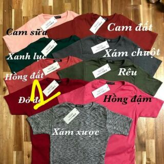 Áo thun gân