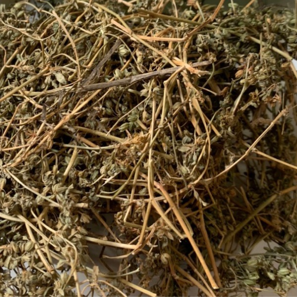 Rau Đắng Đất 1KG Khô  Hỗ Trợ Người Tiểu Đường, Cây Rau Đắng Đất Giải Độc Gan, Giúp Thông Tiểu