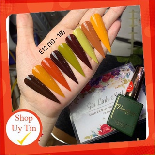 Sơn gel VDN | Set E12 (1-9)