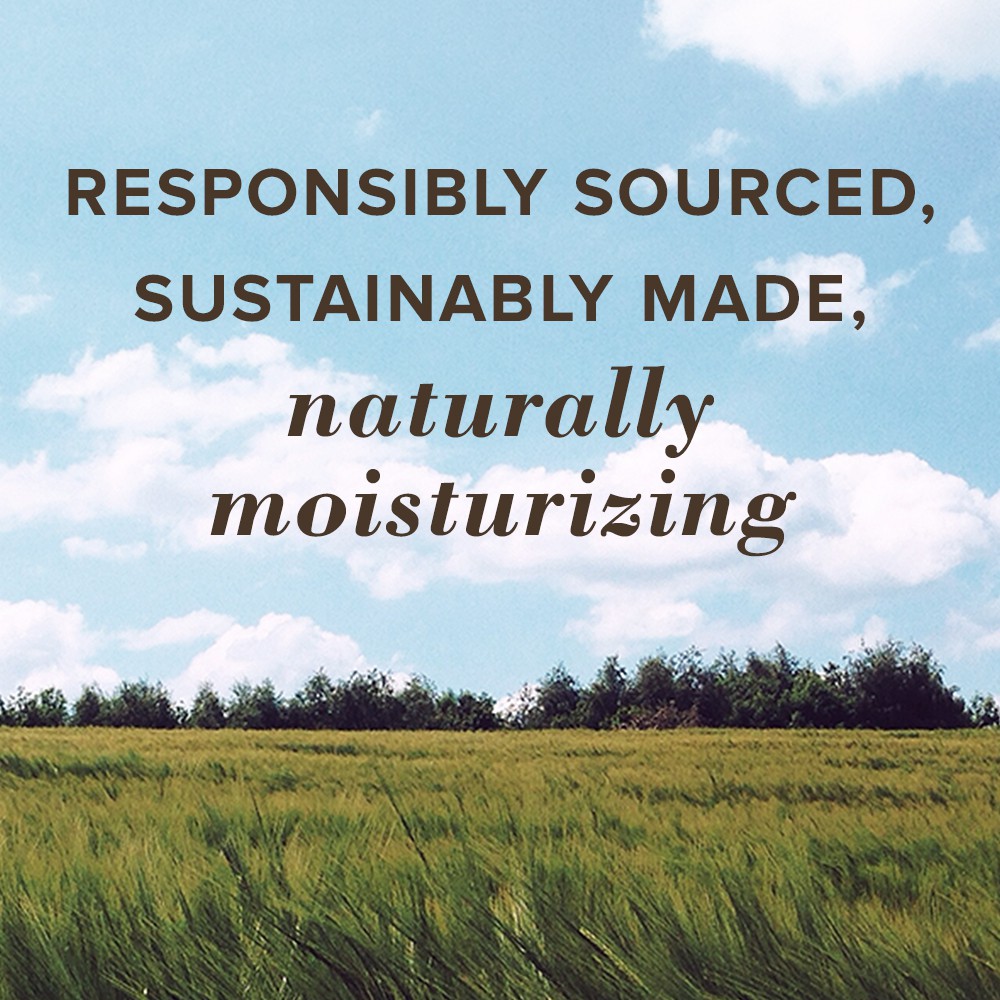 Son Dưỡng Môi Burt’s Bee Beeswax Coconut & Pear Lip Balm Thỏi 4.25g | BigBuy360 - bigbuy360.vn