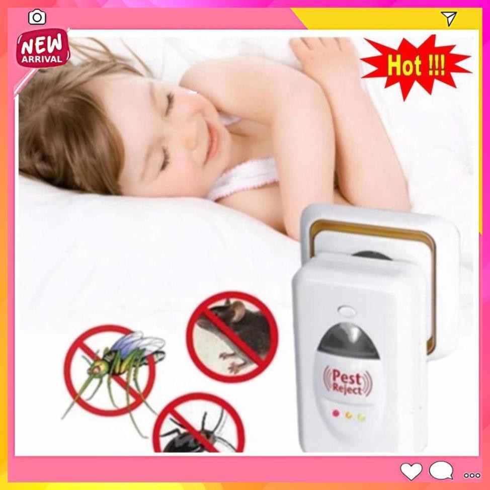 Máy Đuổi Côn Trùng Pest Rejeck - Tạo sóng siêu âm đuổi côn trùng, Đuổi Muỗi, Chuột, Đuổi Côn Trùng, Đuổi Mạt Rệ