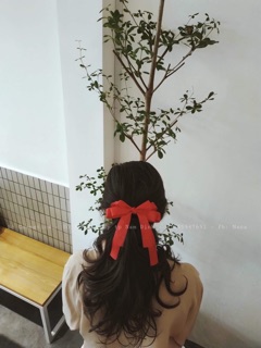 Nơ kẹp cánh bướm 4 cánh 4 dây