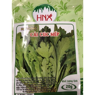Hạt giống Cải cúc Nếp (gói 20 gr)