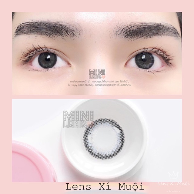 Lens Swetty Ice Gray/Brown -0 độ