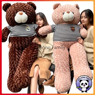 1M6 khổ, Gấu Bông Teddy 1M6 khổ vải, cao 1M4 Rẻ Vô Địch