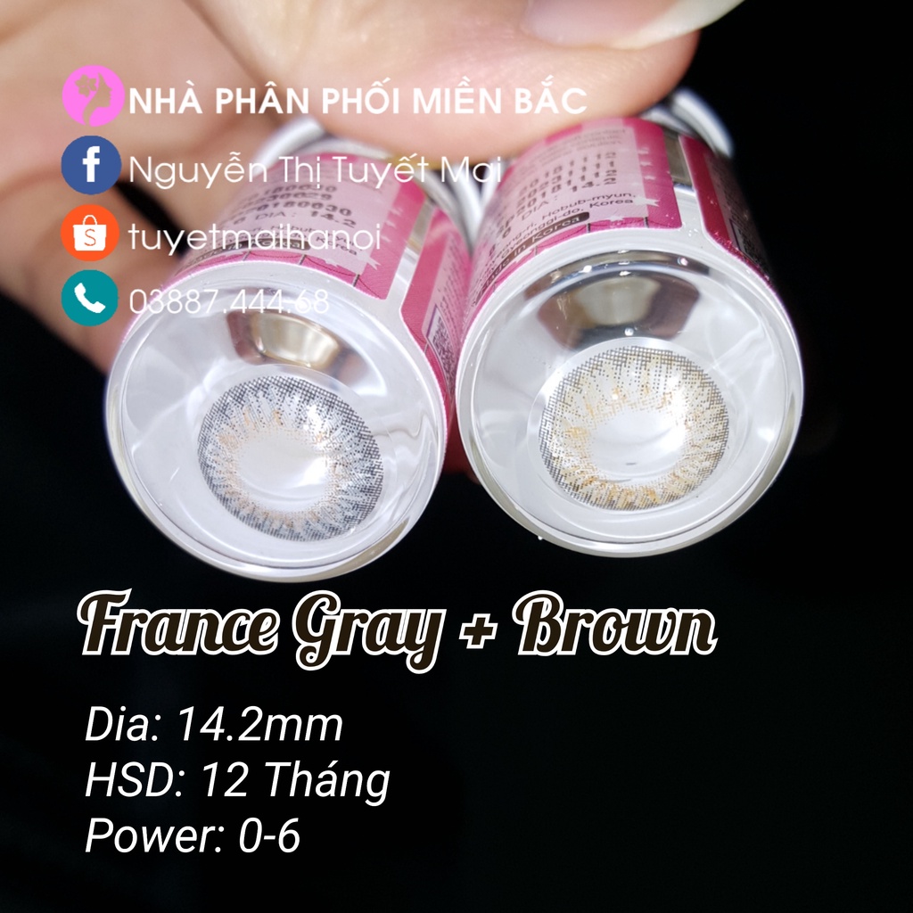 [ Ảnh Thật ] Lens Cận Nâu Tây France Brown 14.2mm - Kính Áp Tròng Hàn Quốc Chính Hãng Vassen Sexy Me