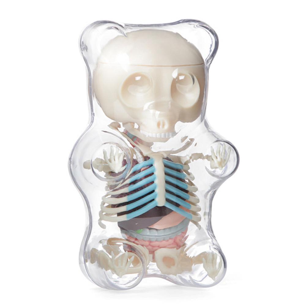 4D MASTER STEM Anatomy Model Bear Skeleton Anime Assembly Action Figure Gifts
