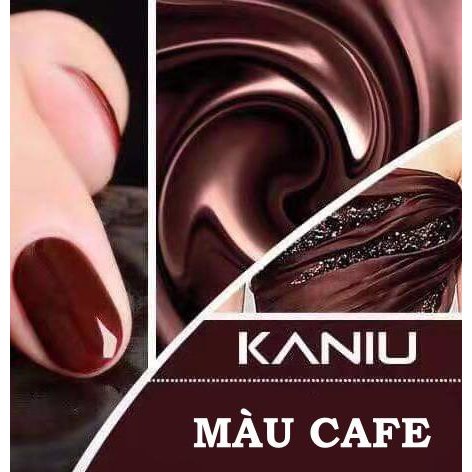 BỘ GEL SƠN 6 LỌ TONE MÀU CAFE CHCP6Y3