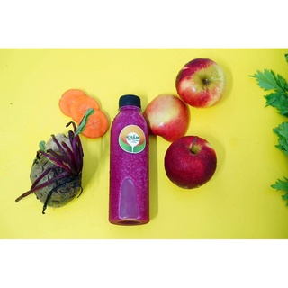 Set 50 chai nhựa tròn 330ml phi 30
