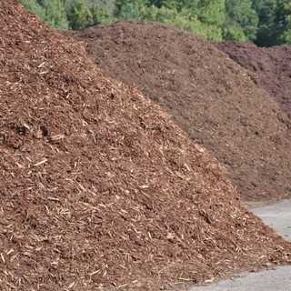Lớp phủ hữu cơ (Organic Mulch) 5dm3