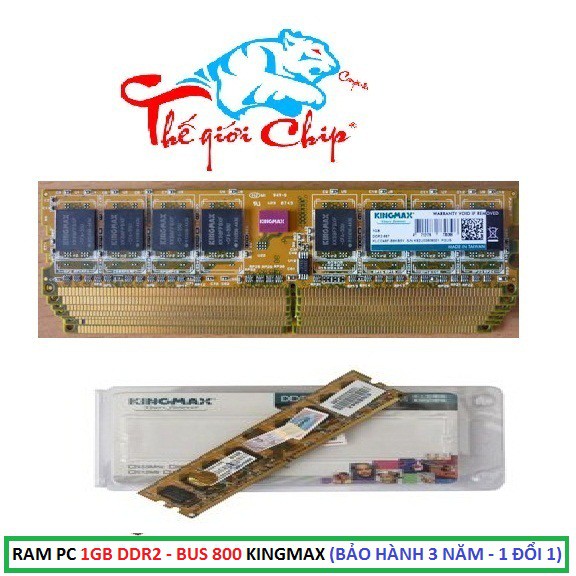 RAM PC 1GB DDR2 - BUS 800 KINGMAX (BẢO HÀNH 3 NĂM - 1 ĐỔI 1) | WebRaoVat - webraovat.net.vn