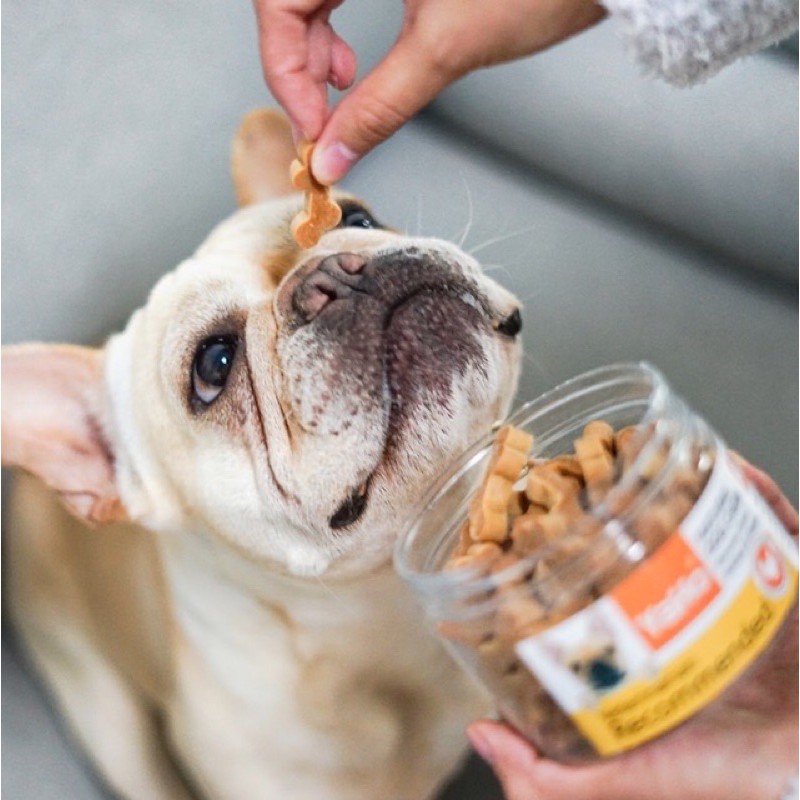 Snack nhai làm sạch răng Yaho cho chó