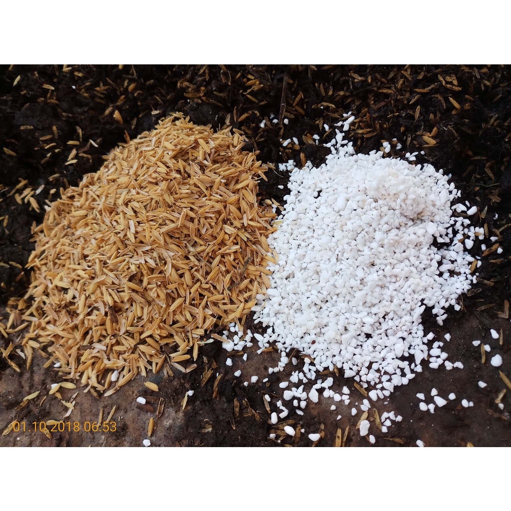 Đá Perlite trồng sen đá, hoa lan, ươm cây- đá nhẹ tơi xốp