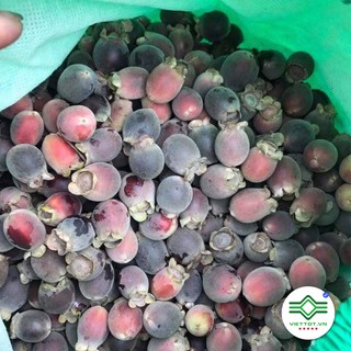 Sim Rừng khô  1Kg - T040