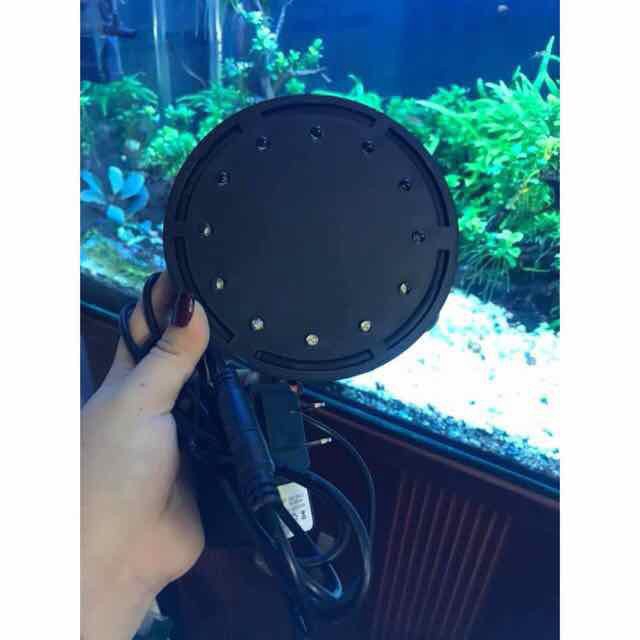 Sủi Đĩa có kết hợp Đèn Led cho hồ cá - HÀNG CÔNG TY