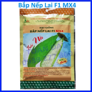 Hạt Giống Bắp Nếp Lai F1 MX4 (100g), Giống bắp ngọt mỹ