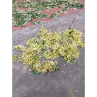 KM- Bạch Đồng Nữ (mò hoa trắng) Khô 1kg 681sp