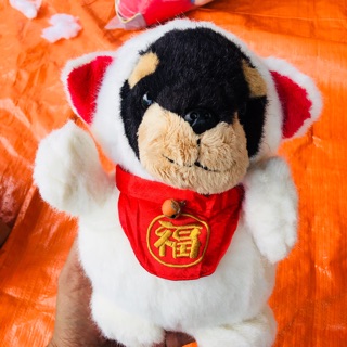 Gấu bông tran my