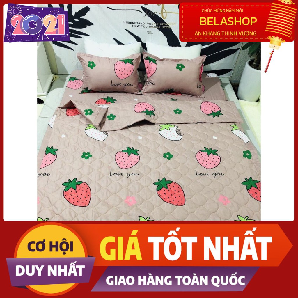 Chăn hè thu trần bông 3 lớp poly,mền trần bông,mẫu dâu tây đỏ