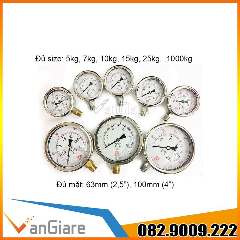 Đồng hồ đo áp suất Pro Instrument , có dầu