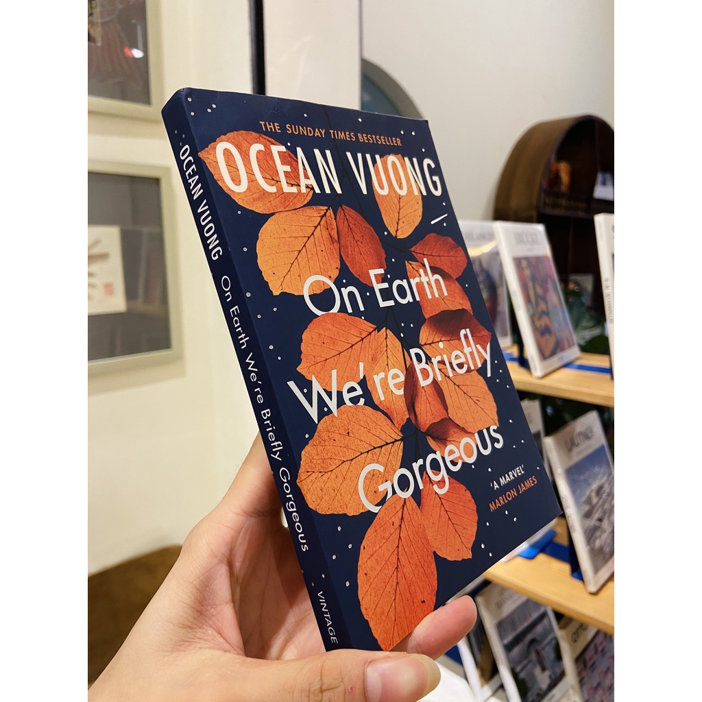 Sách - On Earth We’re Briefly Gorgeous