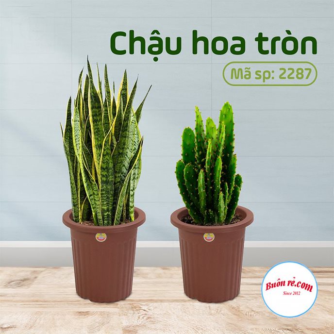 Chậu hoa tròn nhựa Việt Nhật (MS:2287) - Chậu cây trang trí tạo không gian xanh cho nhà cửa 01537