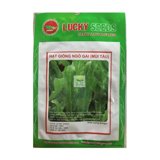 Hạt giống mùi tàu