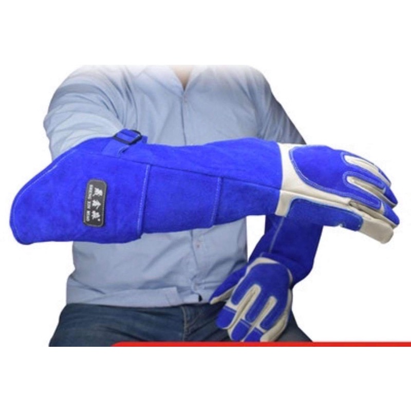 Găng tay chống chó mèo cắn