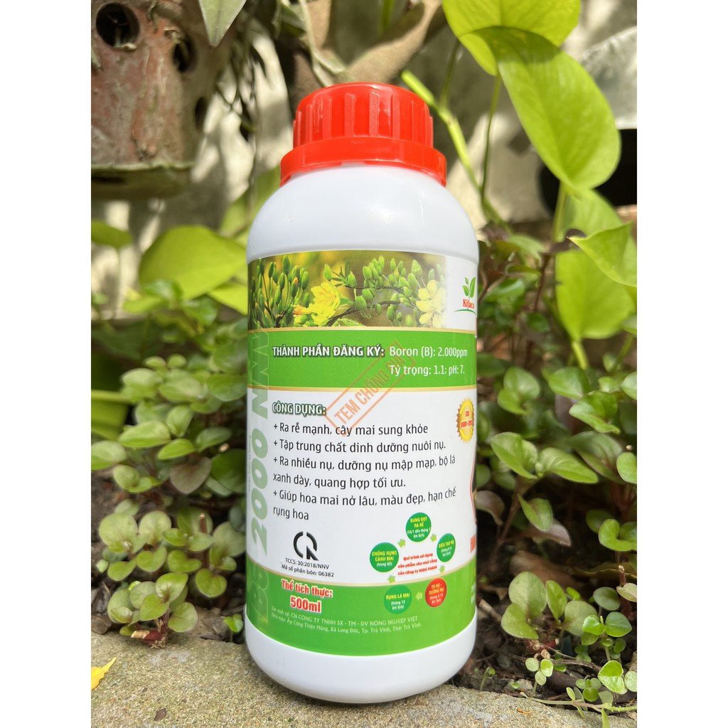 Phân Bón Dưỡng Nụ Mai Max Flower Chai 0,5 Lít - Giúp Mập Nụ, Hoa Mai Nở Lâu, Màu Đẹp, Hạn Chế Rụng Hoa