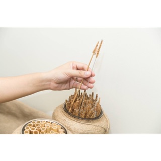 Combo 100 cọ tre
