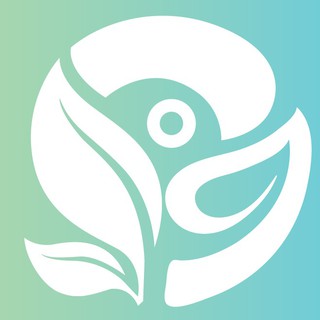 GREEN OF LIFE - CUỘC SỐNG XANH