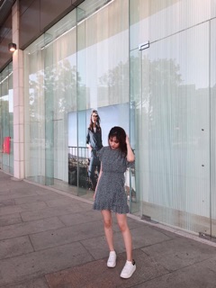 ĐẦM HOA NHÍ VIỀN BÈO