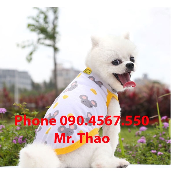 Áo vải cotton cho chó mèo 2 chân , mỏng nhẹ , mát , Đủ Size, Quần áo Thú Cưng